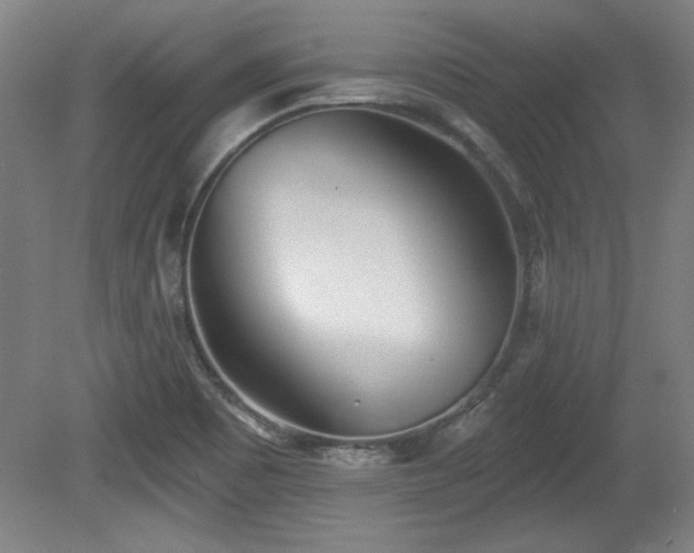 X0000080721465200612221214