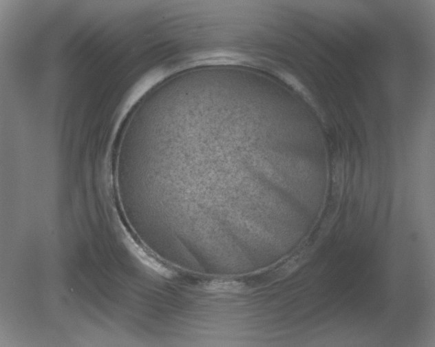 X0000080721466200612221214