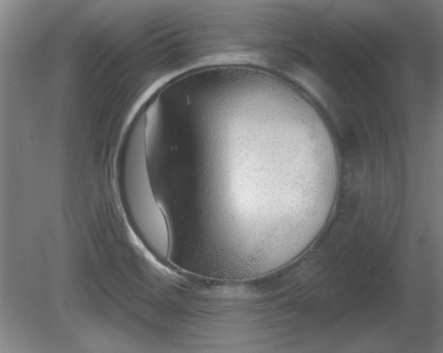 X0000080721468200612221214