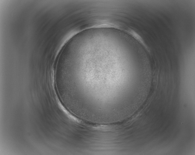 X0000080721476200612221214