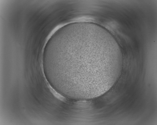 X0000080721478200612221214