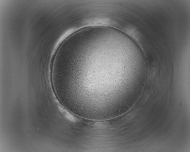 X0000080721480200612221214