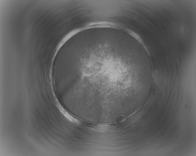 X0000080721482200612221214