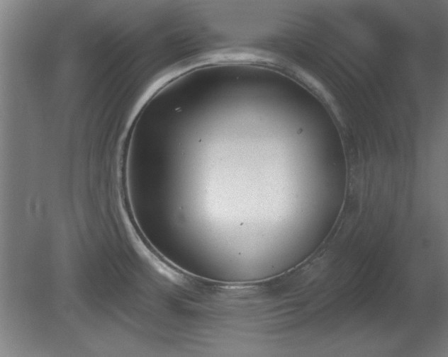 X0000080721483200612221214