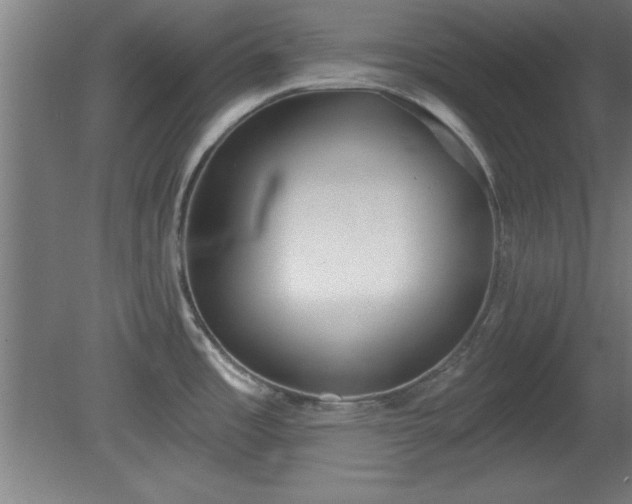 X0000080721485200612221214