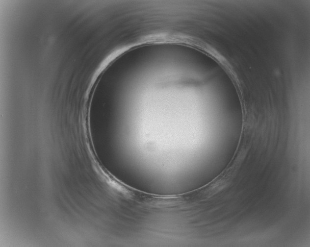 X0000080721486200612221214