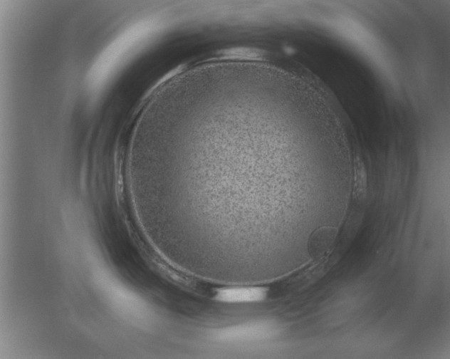 X0000080721487200612221214