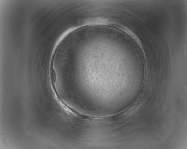 X0000080721488200612221214