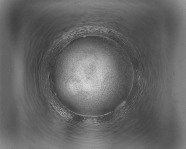 X0000080721489200612221213