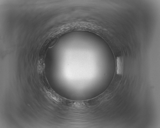 X0000080721491200612221213