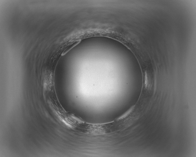 X0000080721492200612221213