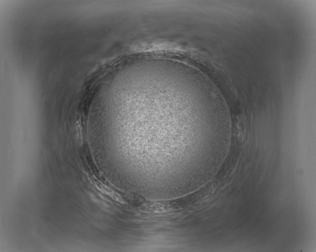 X0000080721493200612221213