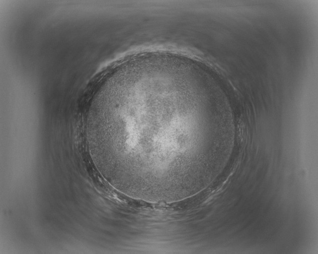 X0000080721494200612221213