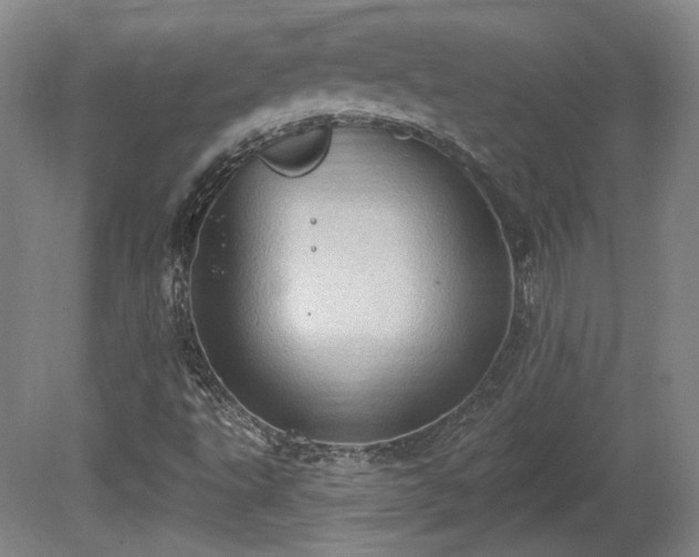 X0000080721495200612221213