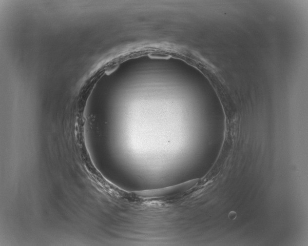 X0000080721496200612221213