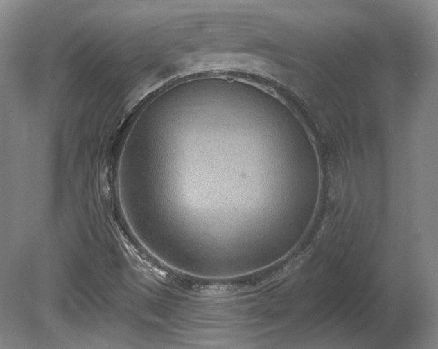 X0000080721497200612221213