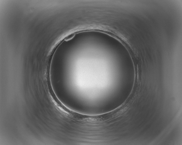 X0000080721500200612221213