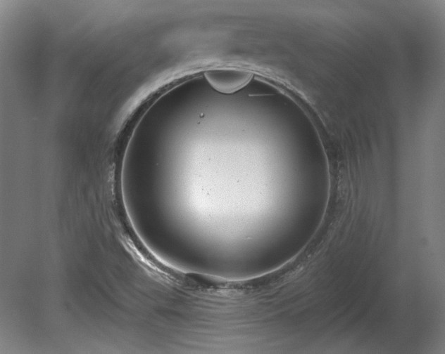 X0000080721503200612221213