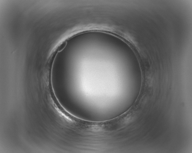 X0000080721504200612221213