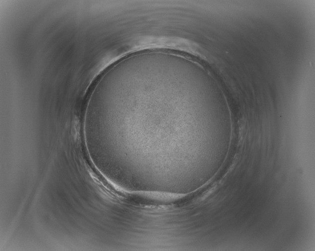 X0000080721505200612221213