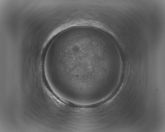 X0000080721506200612221213