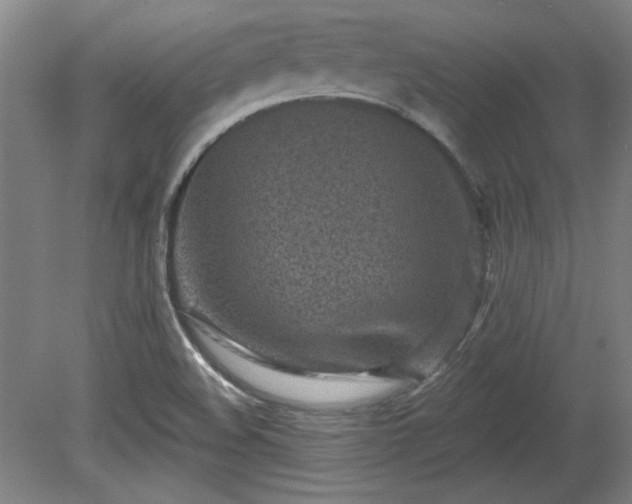 X0000080721508200612221213