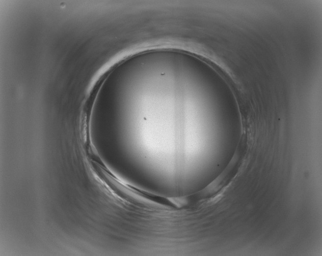 X0000080721510200612221214