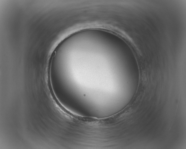 X0000080721512200612221214