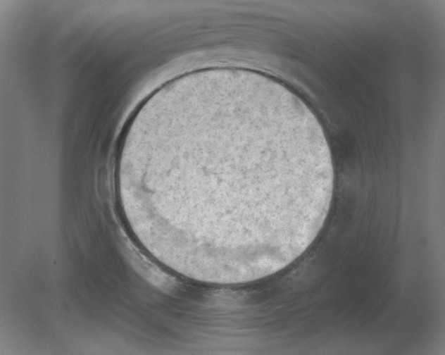 X0000080721514200612221214