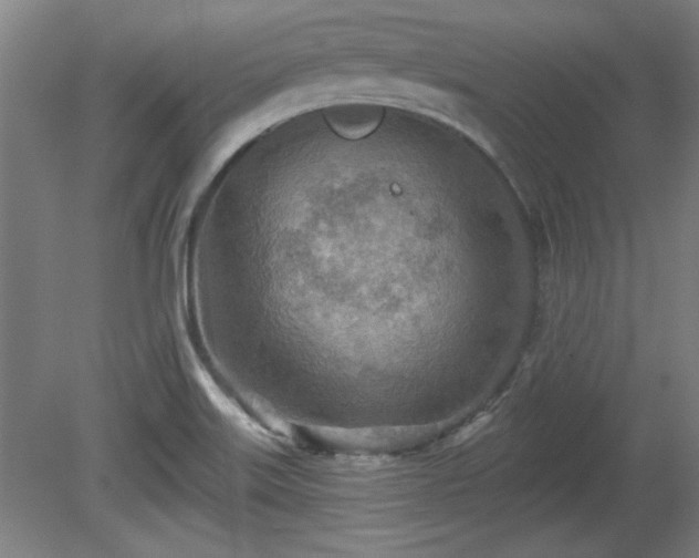 X0000080721515200612221214