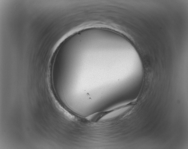 X0000080721518200612221214