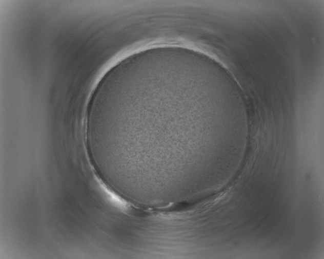 X0000080721519200612221214