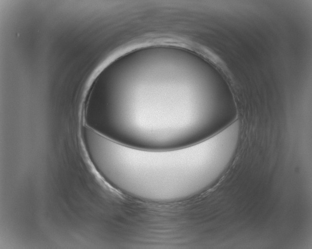 X0000080721520200612221214