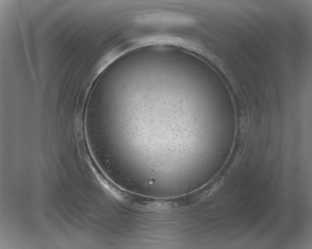 X0000080721521200612221214