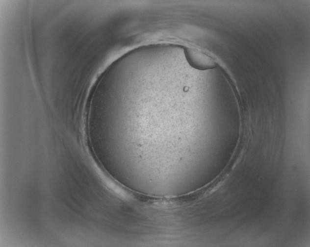 X0000080721525200612221214