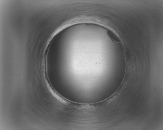 X0000080721526200612221214