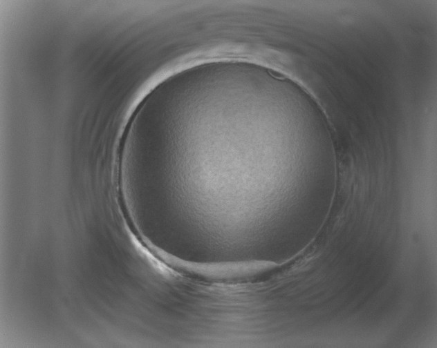 X0000080721527200612221214