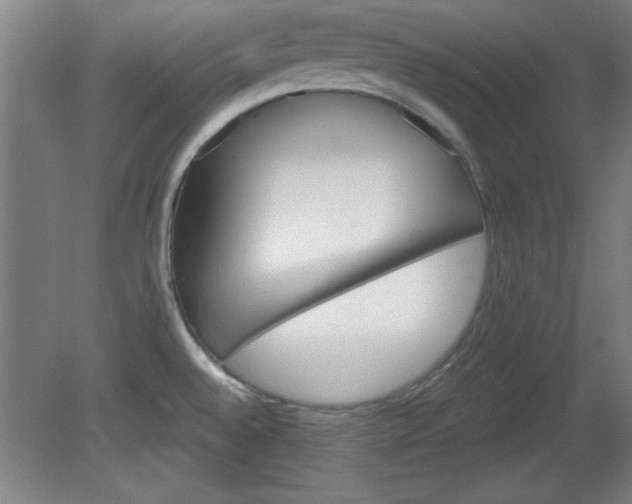 X0000080721528200612221214