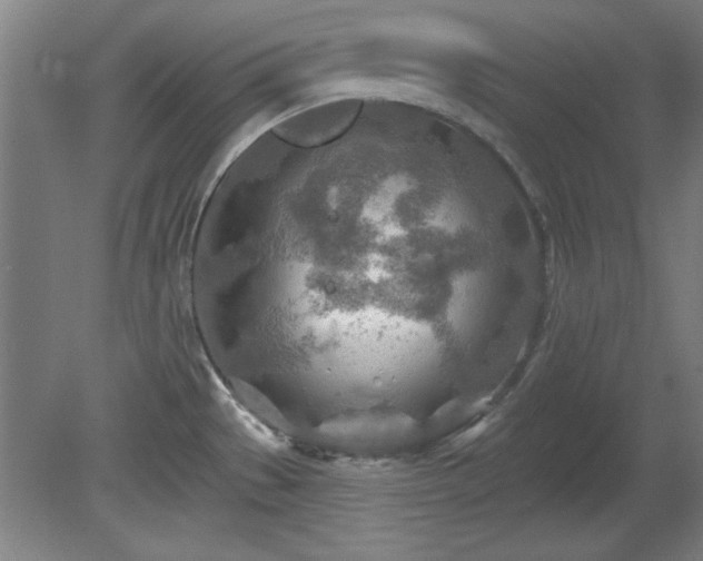 X0000080721529200612221214