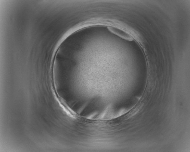 X0000080721536200612221214