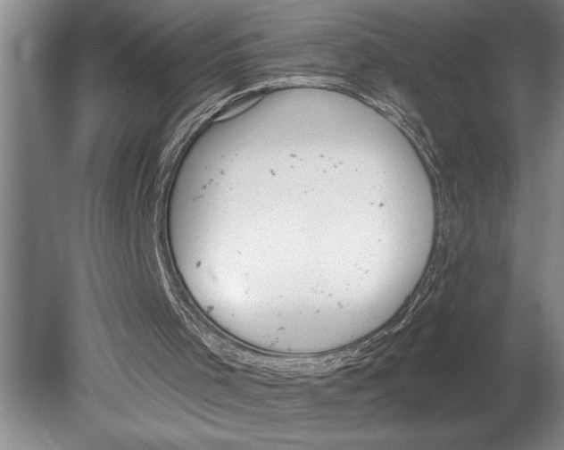 X0000080720001200701021106