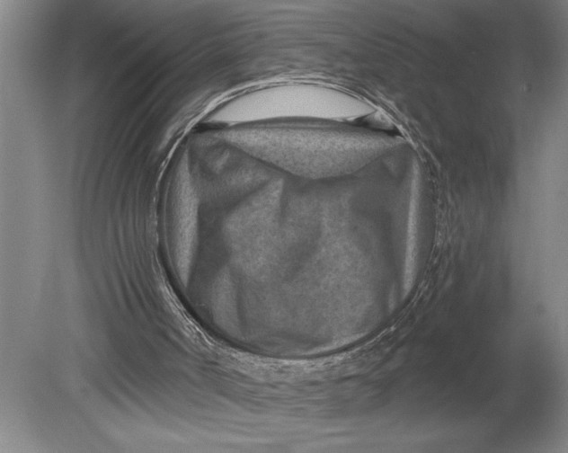 X0000080720002200701021106