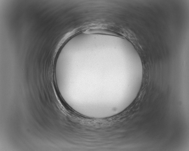 X0000080720003200701021106