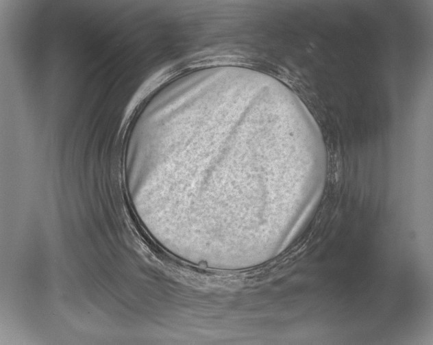 X0000080720004200701021106