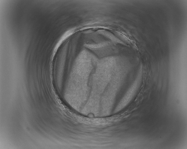 X0000080720006200701021106