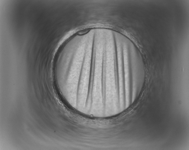 X0000080720008200701021106