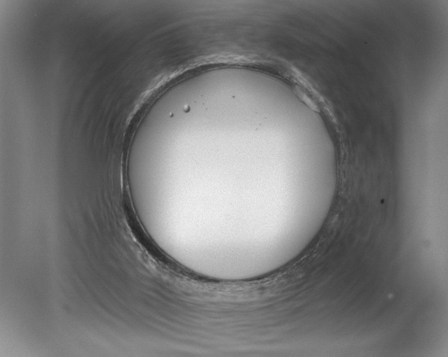 X0000080720011200701021106