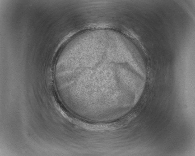 X0000080720012200701021106