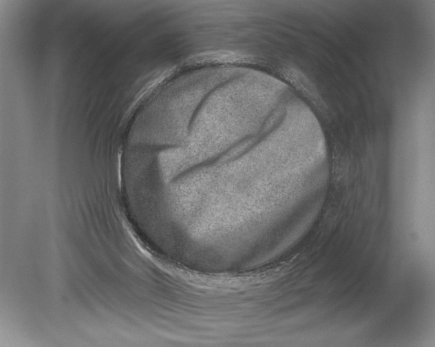 X0000080720014200701021106