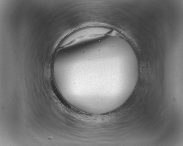 X0000080720015200701021106